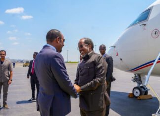 Somali President Seeks Regional Support in Addis Ababa for Controversial “New Jubaland” Plan