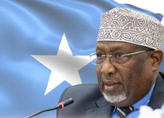 Acting Somali President Extends Congratulations on National Flag Day