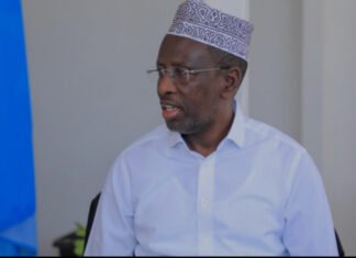 Former Somali President Condemns Arrest of Himilo TV Executives