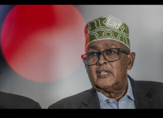 Somaliland Leader, Abiy Meet as Horn Politics Heat Up in Ethiopia