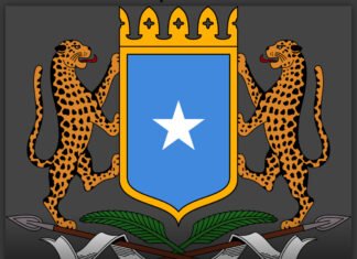 Rights Groups Accuse Somalia of Accepting Forced Return