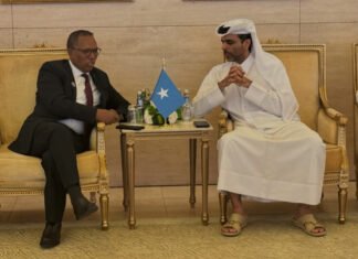 Somalia Seeks Qatar’s Support for Development Projects