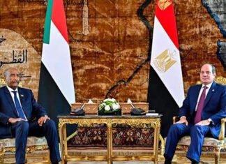 Egypt, Sudan Reaffirm Opposition to Ethiopia’s Moves on Blue Nile Dam