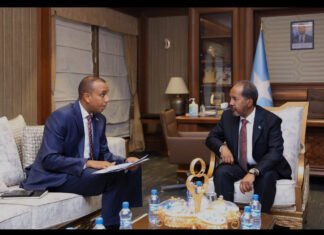 Somali Cabinet Prioritizes State-Building, Public Services in Weekly Meeting Led by President Mohamud