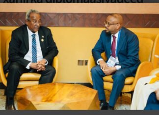 Somalia and Sudan Meet in Kampala to Strengthen Diplomatic Ties