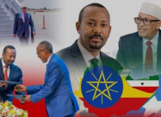 Somaliland President Faces Setback During Ethiopia Visit
