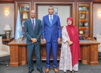 Somali Prime Minister Meets Speaker of Northeastern Regional Assembly, Hails Progress Toward National Unity
