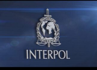 Interpol Transfers Suspected Rapist to Somali Government