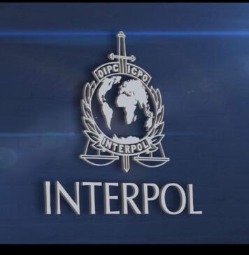 Interpol Transfers Suspected Rapist to Somali Government