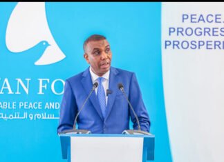 Somalia Announces 2025–2030 Development Plan for Peace and Prosperity in Aswan Forum