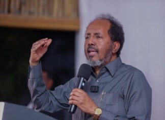 Somali PM Announces to Employ 40,000 Youth in Nationwide Job Creation Program