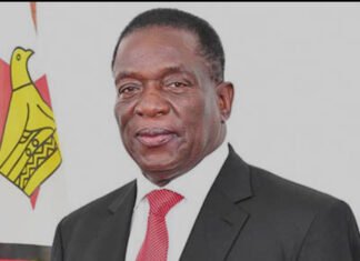 Zimbabwe ruling party moves to keep Mnangagwa in power