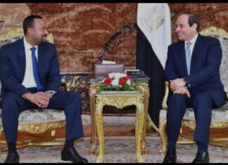 Egypt Vows to Defend Water Rights After GERD Talks Fail