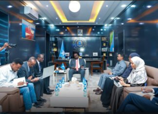 Somalia’s Deputy PM Inspects Key Ministries in Governance Oversight Drive