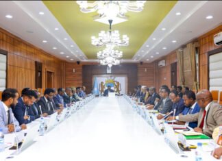 Mogadishu Set for First Direct Local Elections in Decades After Cabinet Approval