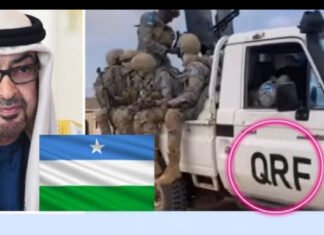 UAE-Backed Forces in Somalia’s Puntland Raise Sovereignty Concerns
