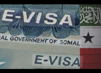 E-Visa Issue Delays Somaliland Officials in Dubai