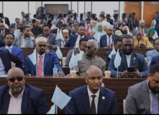 Somali Parliament Debates Key Bills on National Payment System and Anti-Piracy Law Reform