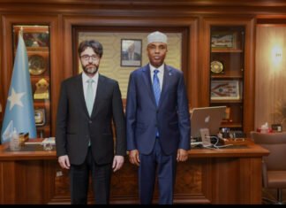 PM Hamza Meets Turkish Ambassador on Airport Upgrades