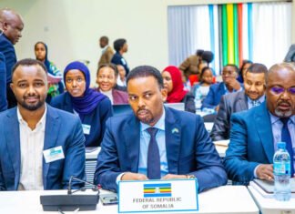 Somali Ambassador Meets DRC Officials on Community Support