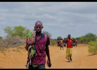 Somali Forces Kill Al-Shabaab Fighters in Hiiraan Operation