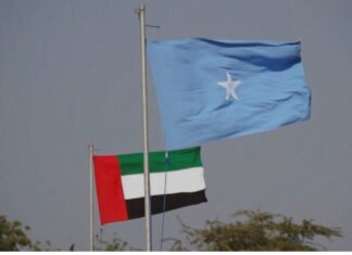 Somalia’s UNSC Vote to Test Its Position on Sudan