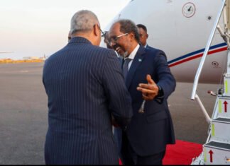 Somali President Receives Warm Welcome in Djibouti