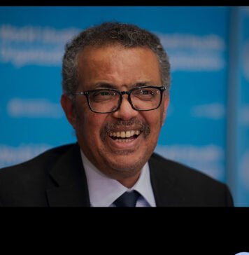 RSF Accused of Massacre at El-Fasher Hospital