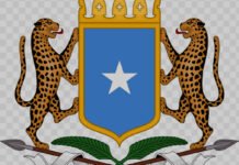 Somalia Launches National Hydrographic Centre to Boost Maritime Safety