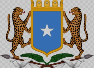 Somalia Probes Case of Woman Giving Birth Outside Hospital