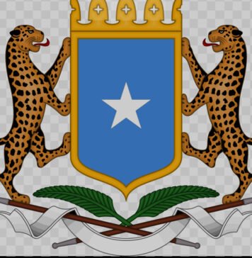 Somalia Launches National Hydrographic Centre to Boost Maritime Safety