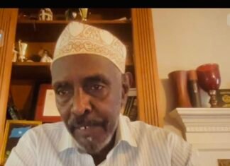 Former Somali Intelligence Chief Accuses UAE of Destabilizing the Horn of Africa