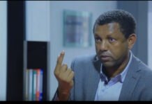 Politician Ayalew Criticizes Ethiopia’s Port Strategy