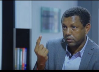 Politician Ayalew Criticizes Ethiopia’s Port Strategy