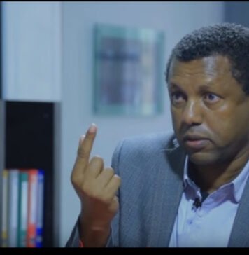 Politician Ayalew Criticizes Ethiopia’s Port Strategy