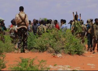 Mother Killed in Clan-Related Attack in Somalia’s Mudug Region