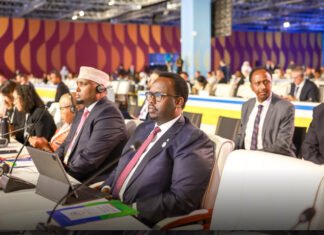 Somali Deputy PM Attends Global Summit on Combating Hunger and Poverty in Qatar