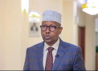 Somali Government Confirms Flights from Bosaso to Sudan