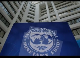 Somalia’s Economic Growth Outpaces Several Gulf and Asian Nations, Says IMF