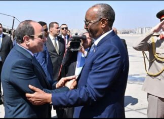 EU Reacts to Rising Maritime Threats in the Horn of Africa