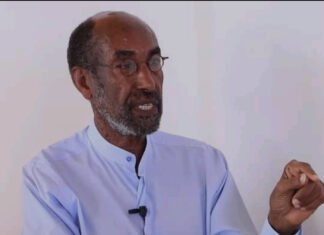 Somali Scholar Criticizes UAE at African Parliamentary Forum