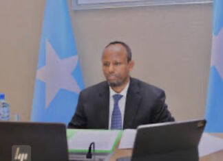 Somalia Health Minister Fires Banadir Hospital Director After Maternal Health Incident