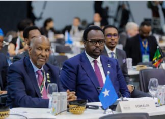 Somalia’s Deputy Prime Minister Attends COP30 Climate Summit in Brazil