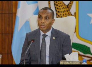 Somali PM Appoints New Deputy Minister to Oversee Family and Human Rights