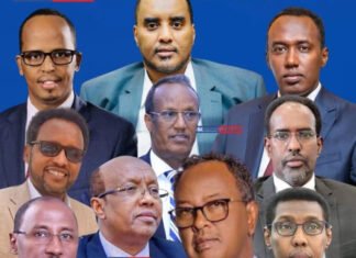 Somali Nine Politicians Endorse Abdi Farah Shirdoon for 2026