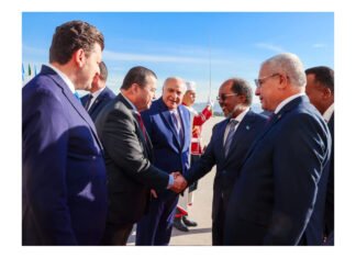 Somalia President Receives Warm Welcome in Algeria