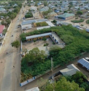 Three Innocent Men Killed in Jowhar as Wanlaweyn Clashes Escalate