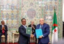 Somalia and Algeria Sign Cooperation Agreements Covering Livestock, Energy, and Education