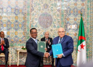 Somalia and Algeria Sign Cooperation Agreements Covering Livestock, Energy, and Education