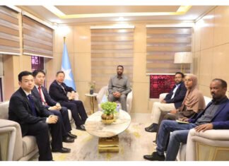 China Vows Support for Somalia’s Aviation and Transport